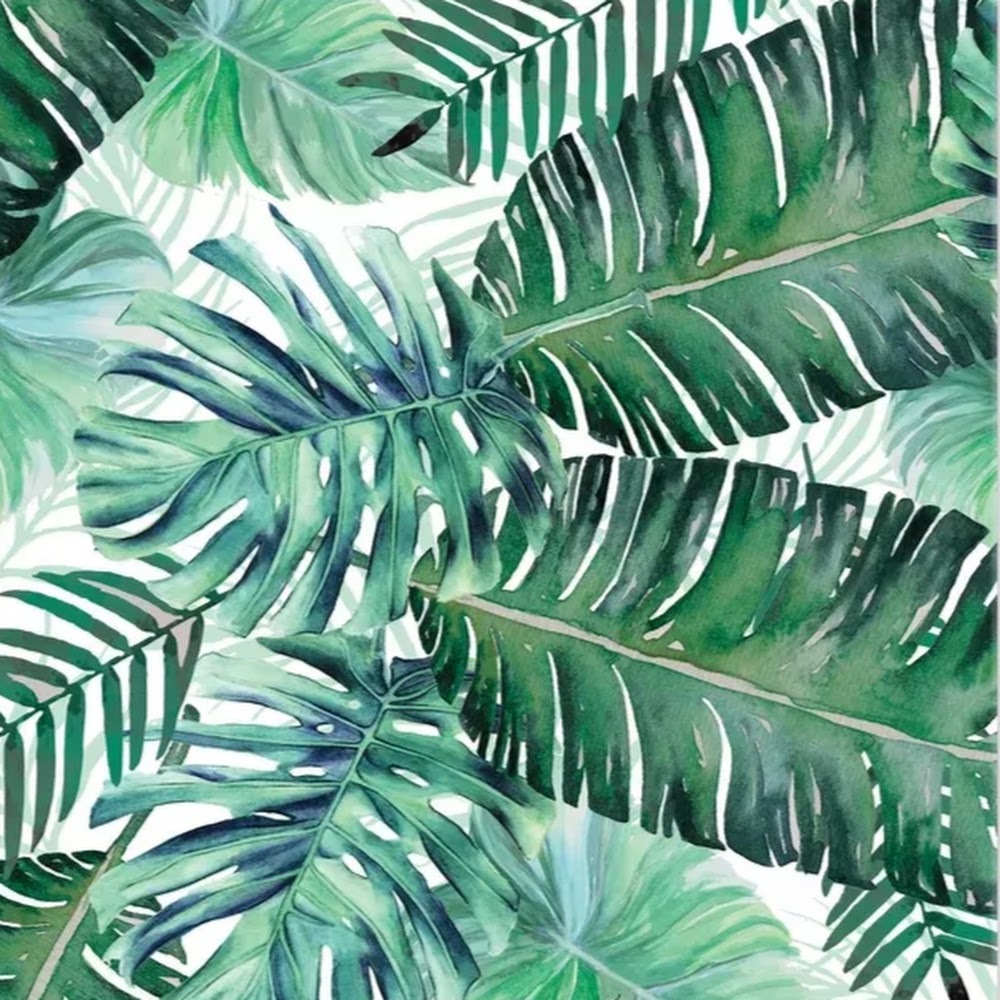 Meet your Posher, Kat